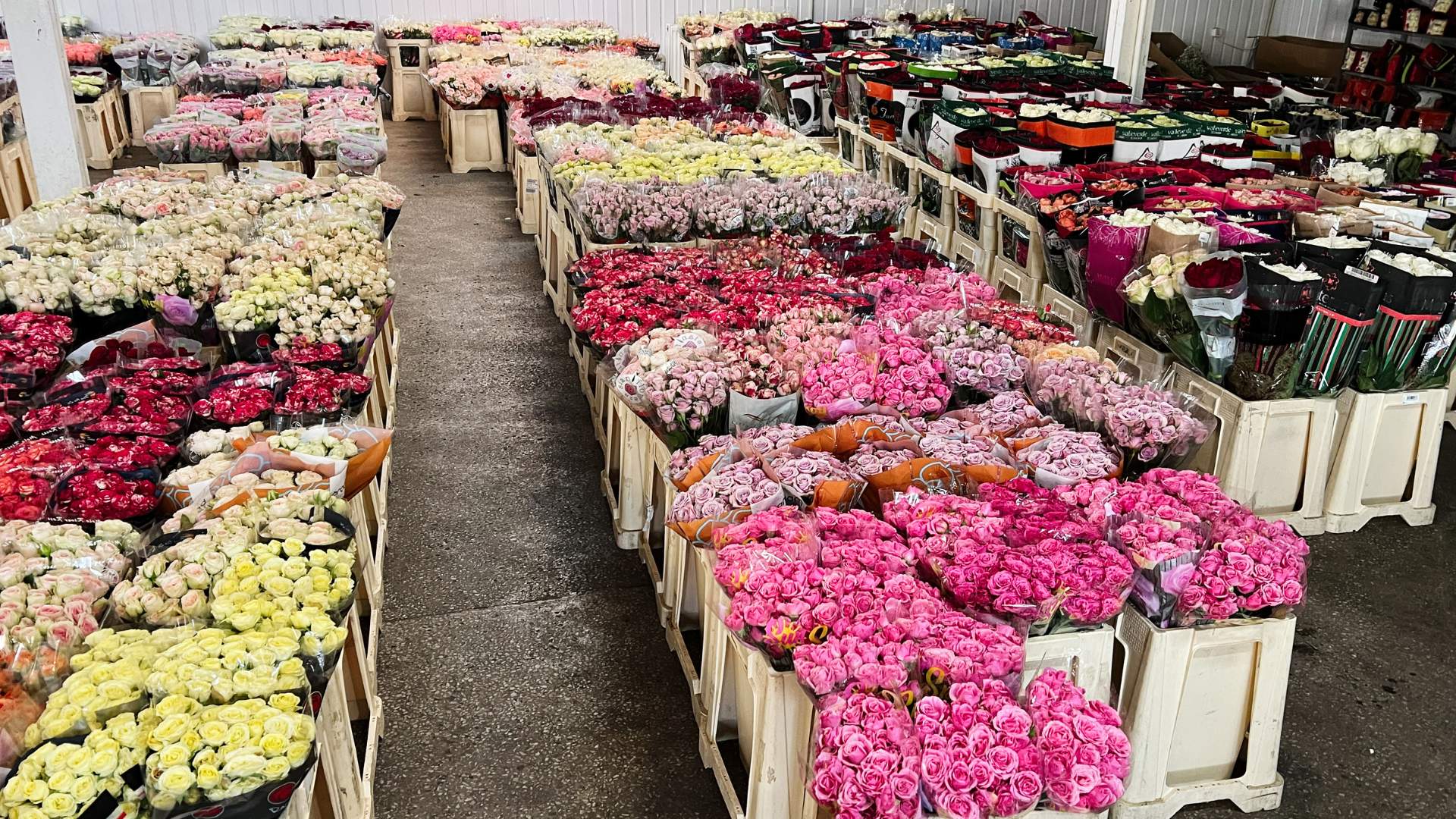 1. Giải ph&aacute;p camera cho Thương mại - B&aacute;n bu&ocirc;n - Chợ đầu mối