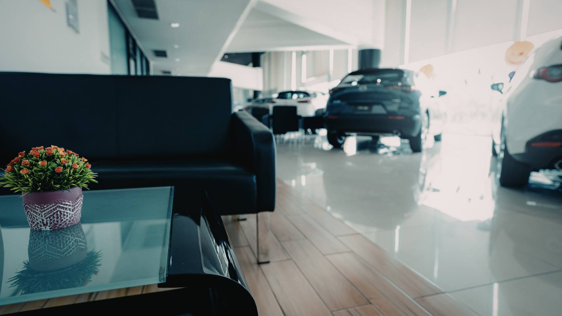 3. Lắp camera cho cửa h&agrave;ng showroom qu&aacute;n c&agrave; ph&ecirc;