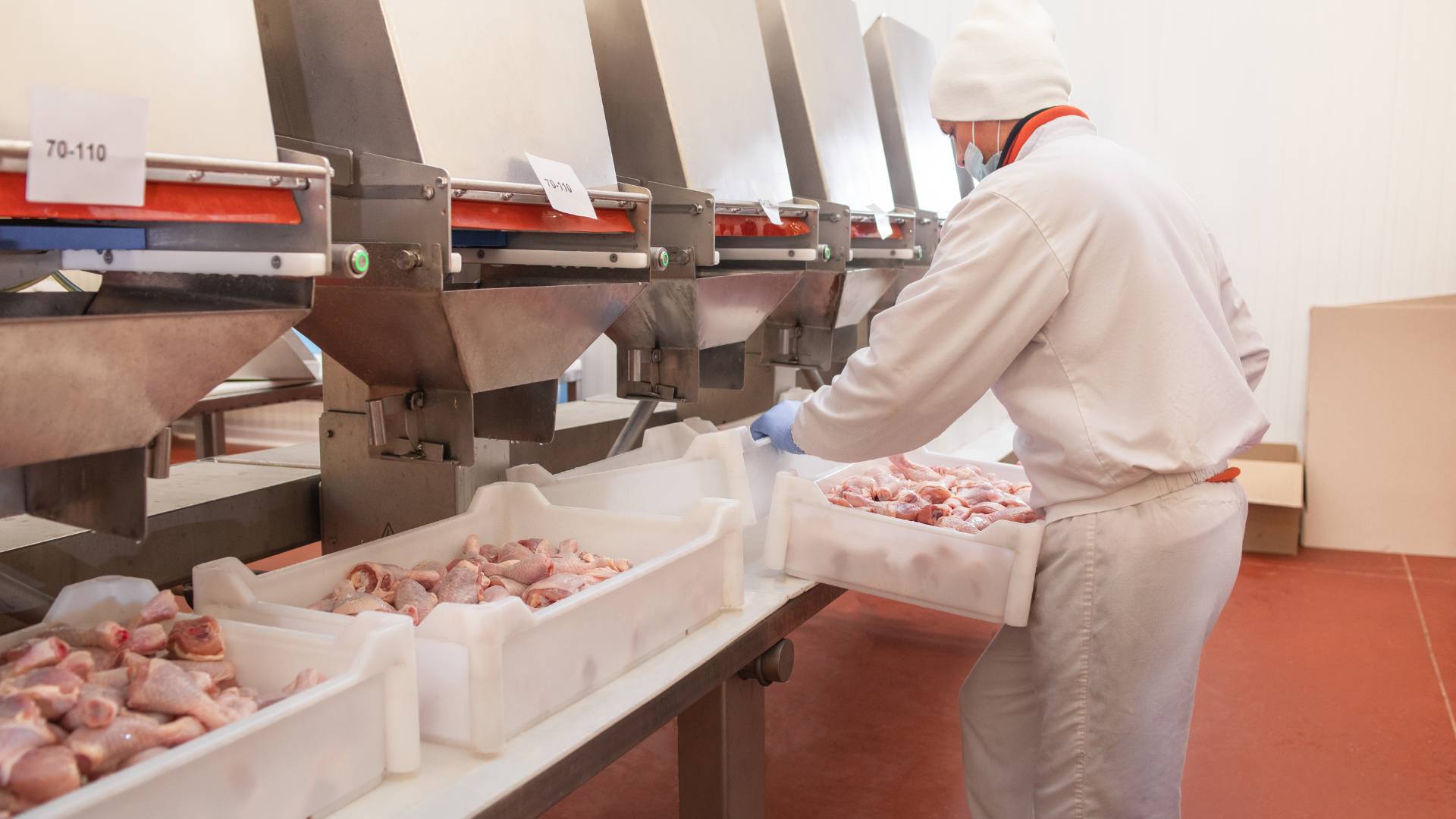 Lắp camera nh&agrave; xưởng chế biến quy m&ocirc; nhỏ